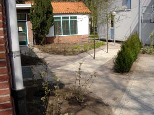 Beplanting rond pleintje