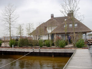 Linden en lage beplanting voor villa