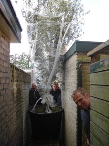Planten van boom op moeilijk bereikbare plaats...